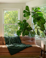 Cotton Duvet Cover