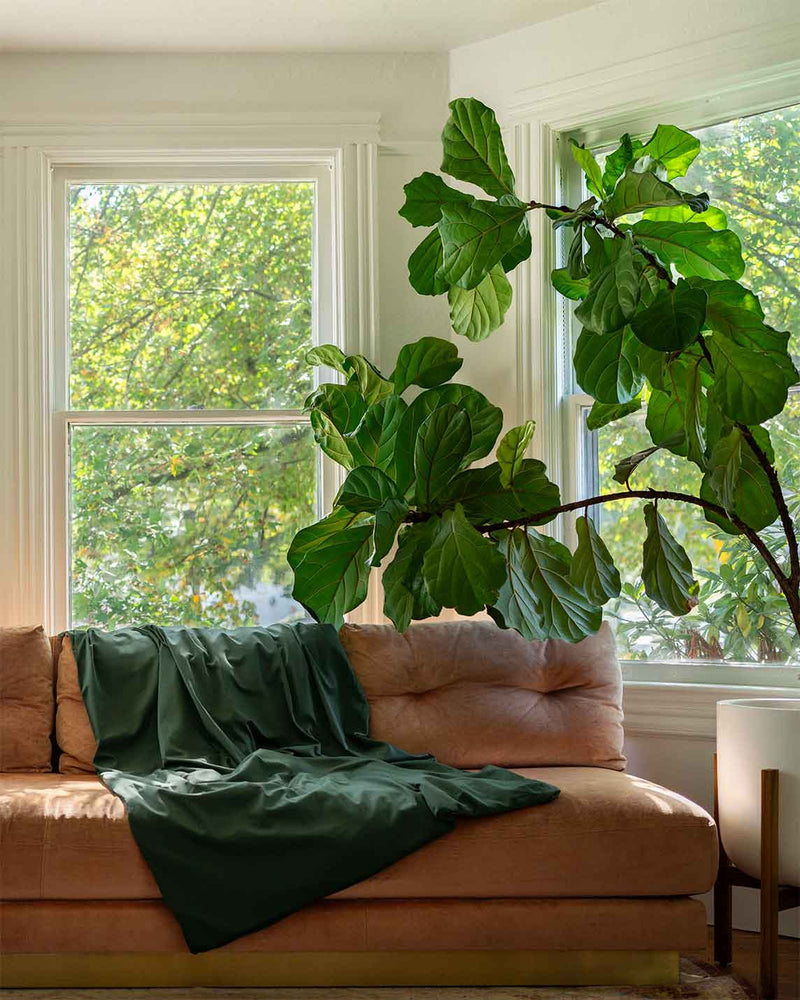 Cotton Duvet Cover