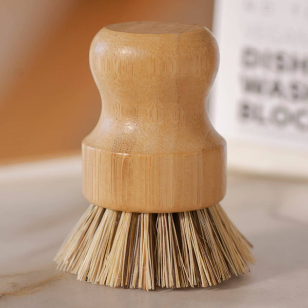 Earth and Daughter Casa Agave Pot Scrubber